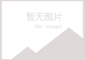 咸阳渭城夏岚采矿有限公司